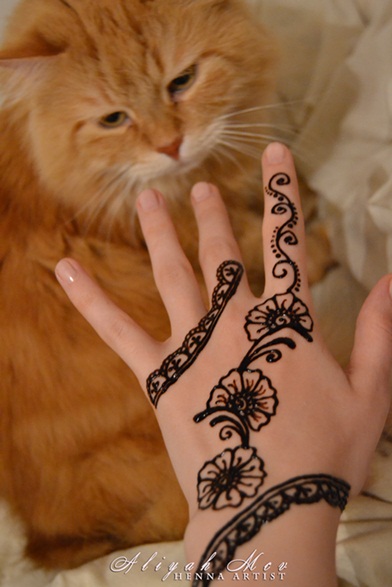 Henna and cat
